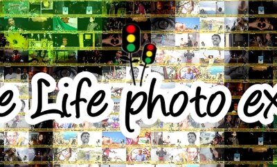 World Day of Remembrace – Embrace Life Photo Exhibition