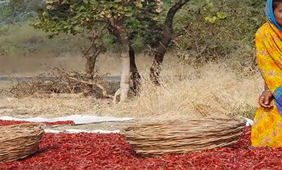 WHO calls for stronger focus on adolescent health – RTIs recognized