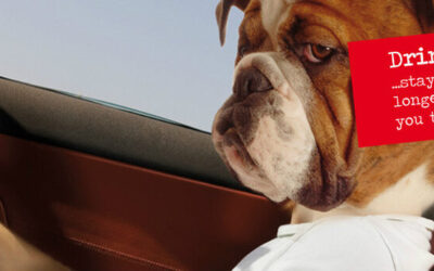 The Honest Truth road safety campaign targets youth in UK