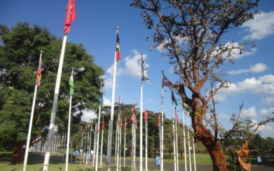 YOURS begins training of facilitators in Nairobi, Kenya